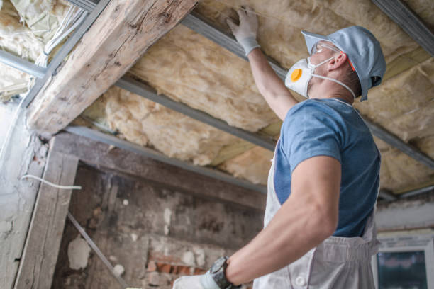 Best Residential Insulation in Archer City, TX