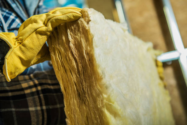 Best Cellulose Insulation in Archer City, TX