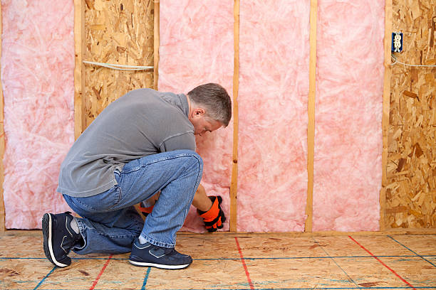 Best Geographic-Specific Insulation Services in Archer City, TX